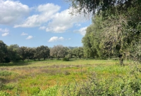 Vejer de la Frontera 38000&nbsp;m² 