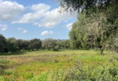 Terreno no urbanizable en venta en la España, Vejer de la Frontera, ref: TR403758 foto