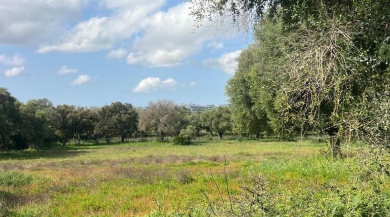 Cádiz - Vejer de la Frontera - 38000m2