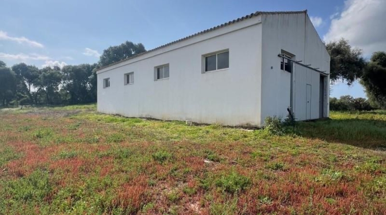 Cádiz - Vejer de la Frontera - 38000m2