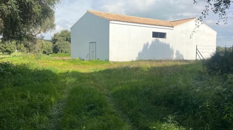 Cádiz - Vejer de la Frontera - 38000m2