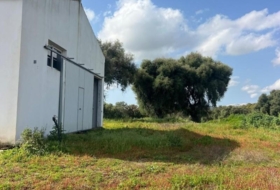 Vejer de la Frontera 38000&nbsp;m² 