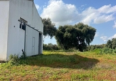 Terreno no urbanizable en venta en la España, Vejer de la Frontera, ref: TR403758 foto