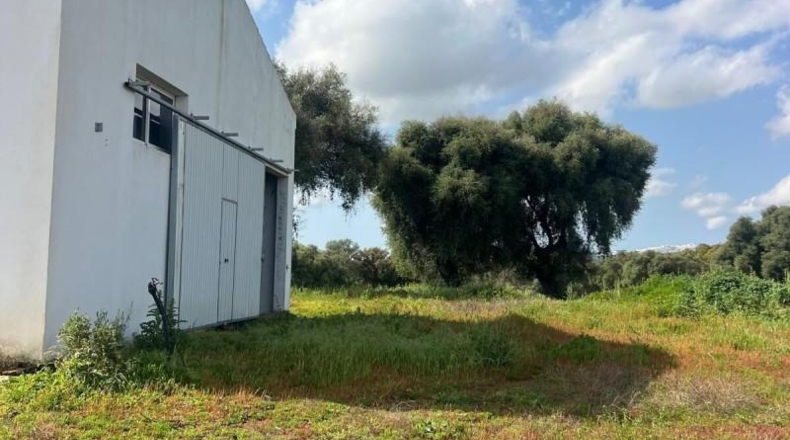 Cádiz - Vejer de la Frontera - 38000m2