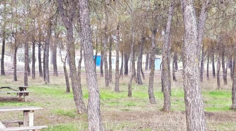 Granada - Arenas del Rey - 3321m2