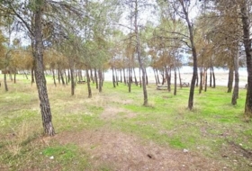 Arenas del Rey 3321&nbsp;m² 