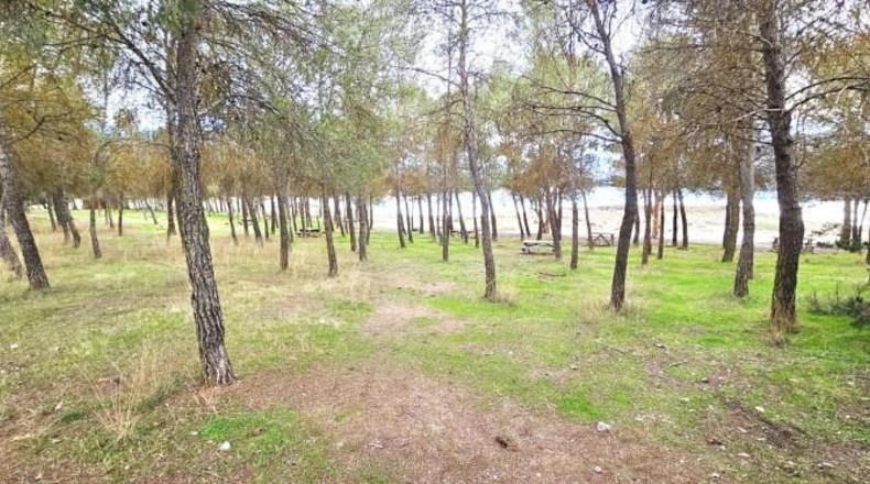 Granada - Arenas del Rey - 3321m2
