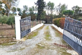 Arenas del Rey 3321&nbsp;m² 