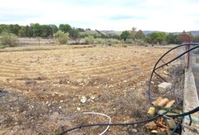 Arenas del Rey 3321&nbsp;m² 