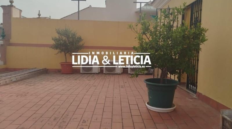 Севилья - Alcalá de Guadaíra - 414m2