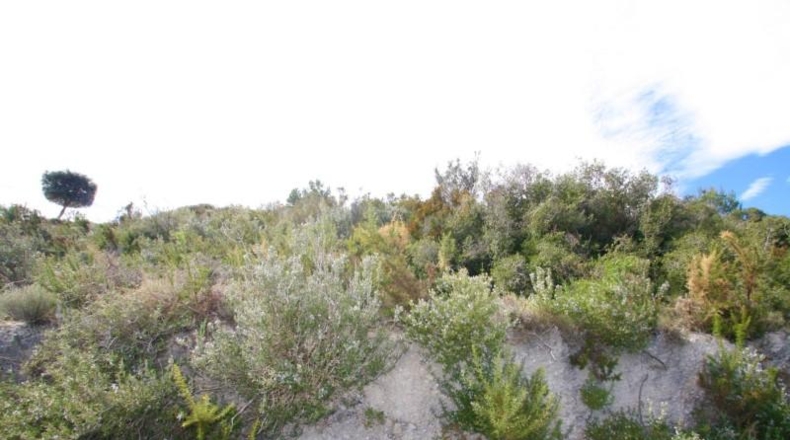 Alicante - Teulada - 12800m2
