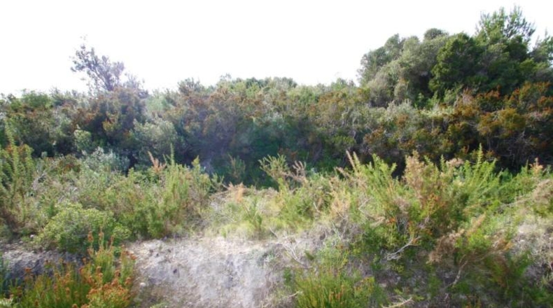 Alicante - Teulada - 12800m2