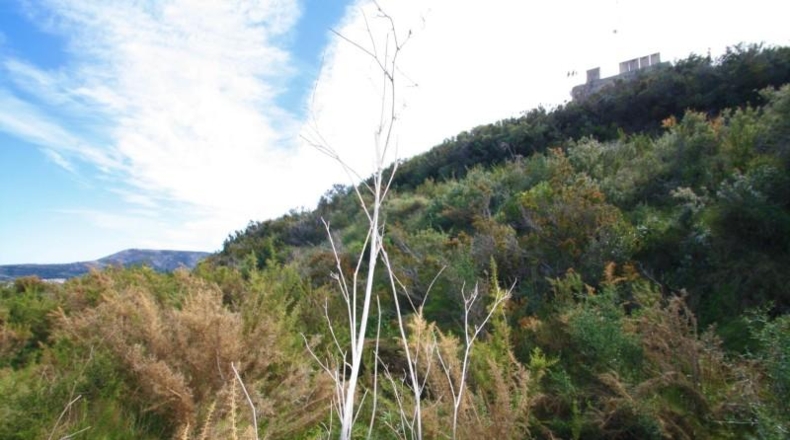 Alicante - Teulada - 12800m2