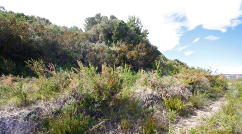 Alicante - Teulada - 12800m2