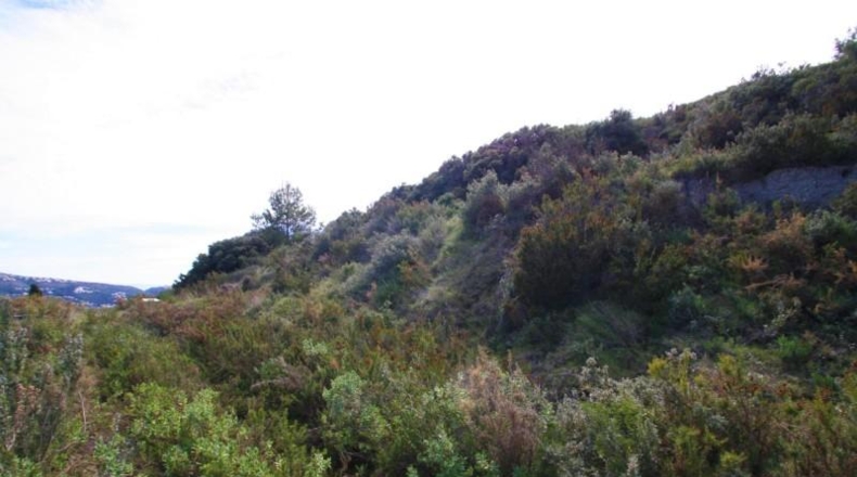 Alicante - Teulada - 12800m2
