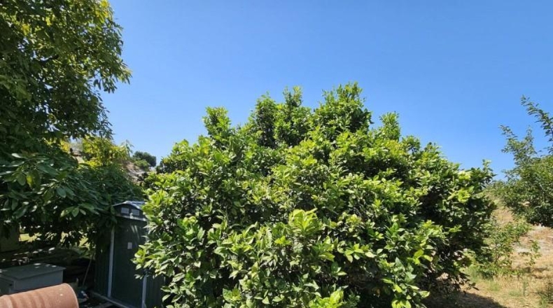 Málaga - Casares - 3000m2
