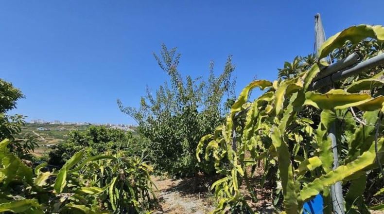 Málaga - Casares - 3000m2