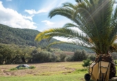 Chalet independiente con terreno en venta en la España, Olivella, ref: TR278214 foto