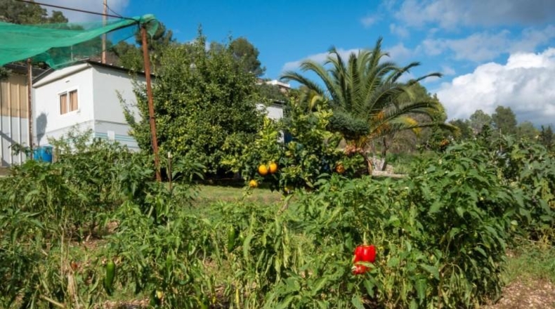 Barcelona - Olivella - 20367m2