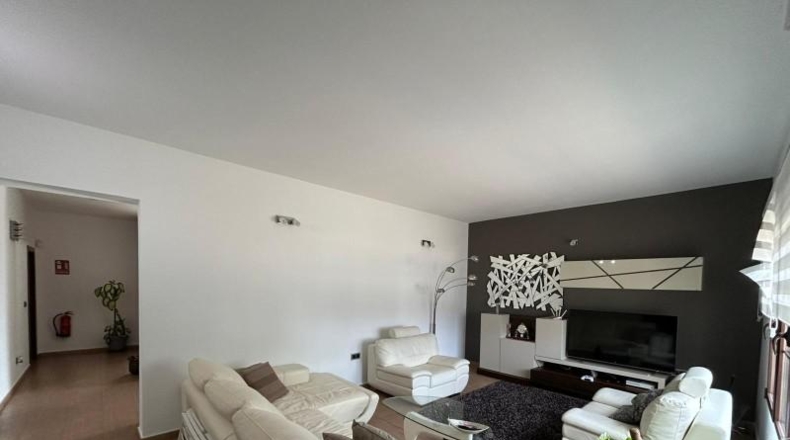 Sevilla - Lora del Río - 2570m2