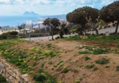 Terreno no urbanizable en venta en la España, Manilva, ref: TR243198 foto