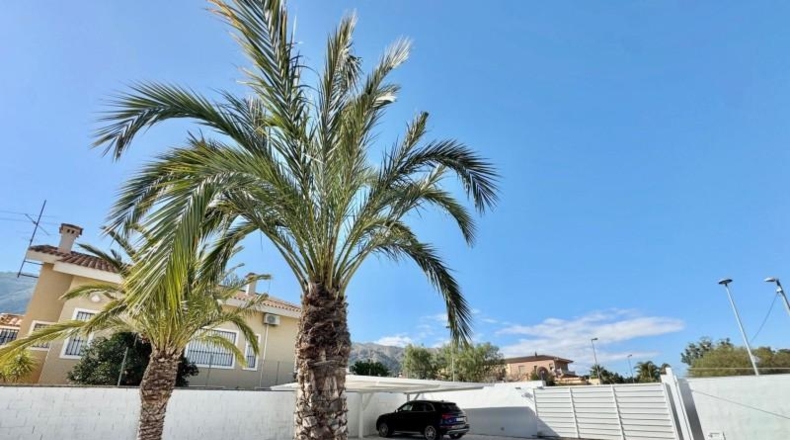 Alicante - Orihuela - 1600m2