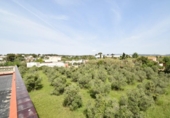 Загородный дом с участком на продажу в городе Vilanova i la Geltrú Фото