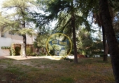 Casa de camp amb terreny en venda a la España, Cocentaina, ref.: TR304684 foto