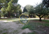 Casa de camp amb terreny en venda a la España, Cocentaina, ref.: TR304684 foto