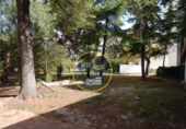 Casa de camp amb terreny en venda a la España, Cocentaina, ref.: TR304684 foto