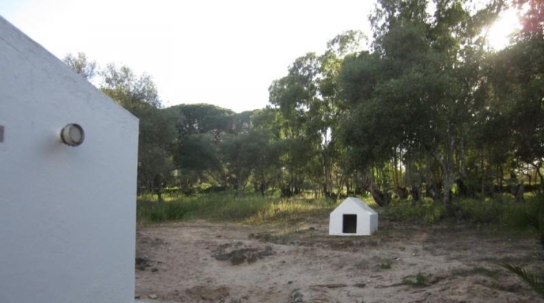 Cádiz - Barbate - 21017m2