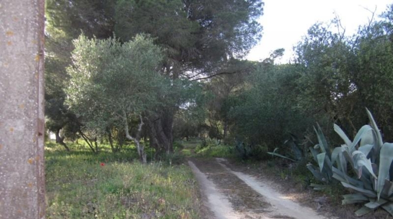 Cádiz - Barbate - 21017m2