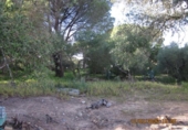 Casa de camp amb terreny en venda a la España, Barbate, ref.: TR134596 foto