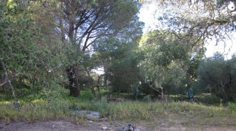 Cádiz - Barbate - 21017m2