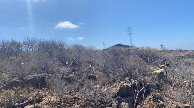 Santa Cruz de Tenerife - Adeje - 30000m2