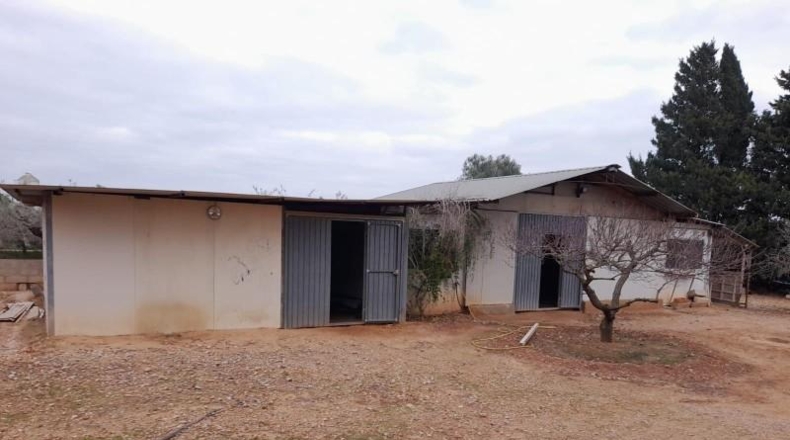 Tarragona - Amposta - 8000m2