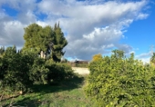 Xalet independent amb terreny en venda a la España, Alhaurín de la Torre, ref.: TR155946 foto