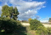 Xalet independent amb terreny en venda a la España, Alhaurín de la Torre, ref.: TR155946 foto