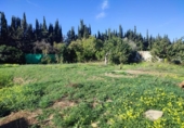 Xalet independent amb terreny en venda a la España, Alhaurín de la Torre, ref.: TR155946 foto