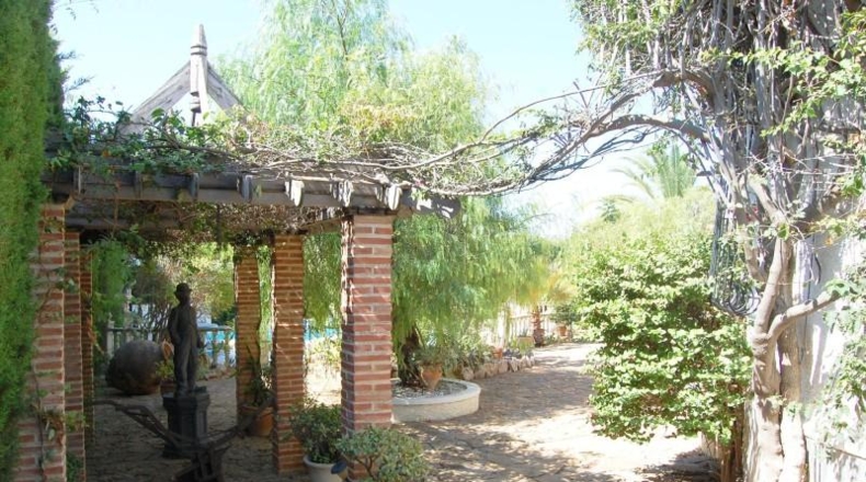 Alicante - Torrevieja - 800m2