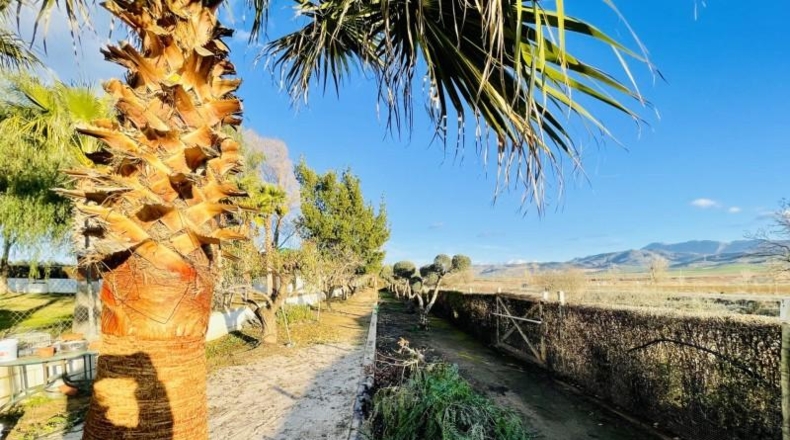 Málaga - Antequera - 4738m2