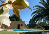 Detached villa with land for sale on España, Zaragoza, ref: TR160519 photo