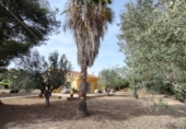 Xalet independent amb terreny en venda a la España, Benidorm, ref.: TR164489 foto