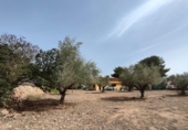 Xalet independent amb terreny en venda a la España, Benidorm, ref.: TR164489 foto