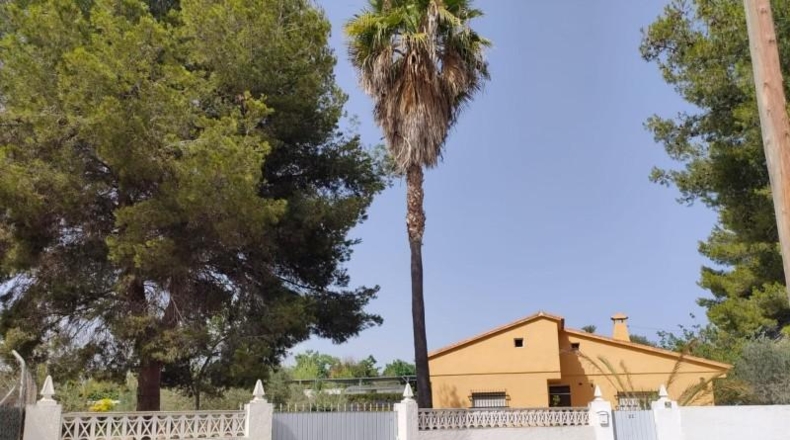 Alicante - Benidorm - 2312m2