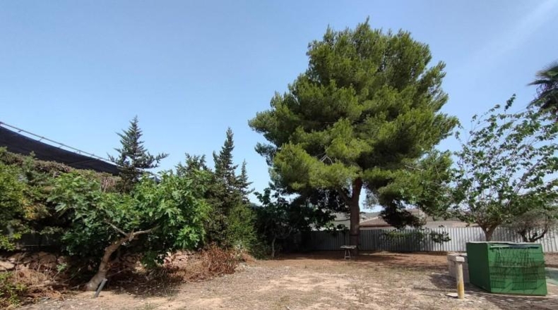 Alicante - Benidorm - 2312m2