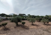 Xalet independent amb terreny en venda a la España, Benidorm, ref.: TR164489 foto