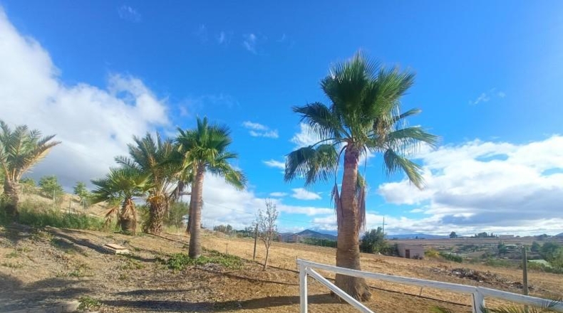 Málaga - Alhaurín el Grande - 22000m2