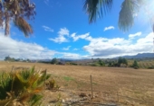 Xalet independent amb terreny en venda a la España, Alhaurín el Grande, ref.: TR174875 foto