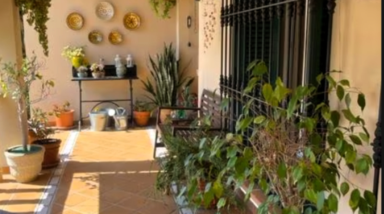 Cadiz - Algeciras - 1800m2